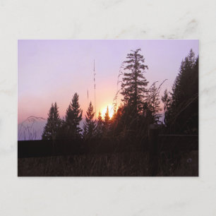 Jenseits der Bäume......Postkarte Postkarte