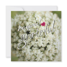 Jenseits der dankbaren Flachbildschirme