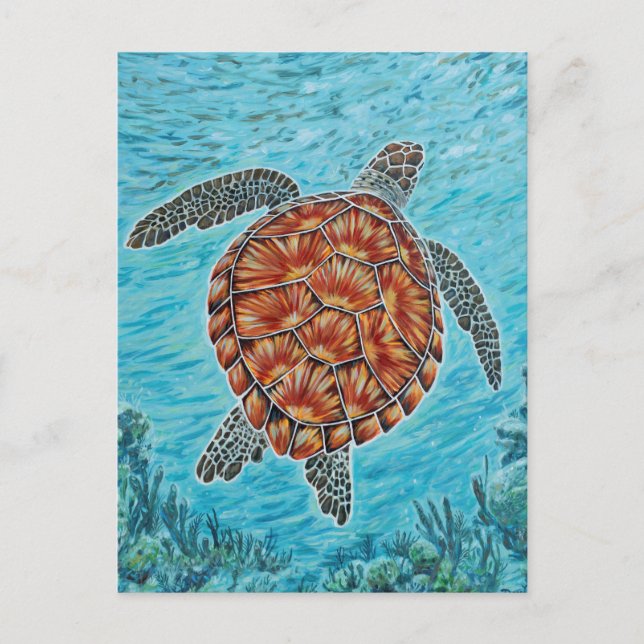 Jenseits des Riffs Postkarte (Vorderseite)