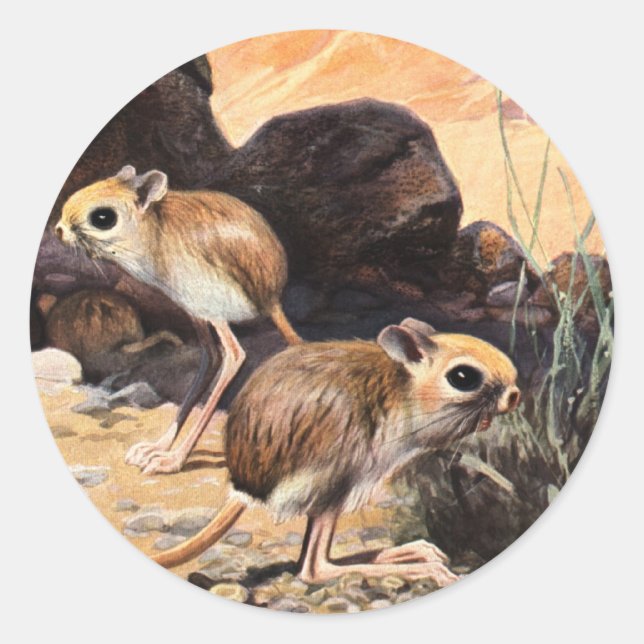 Jerboa T-Shirts und Geschenke Runder Aufkleber (Vorderseite)
