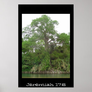 Jeremiah 17:8 poster
