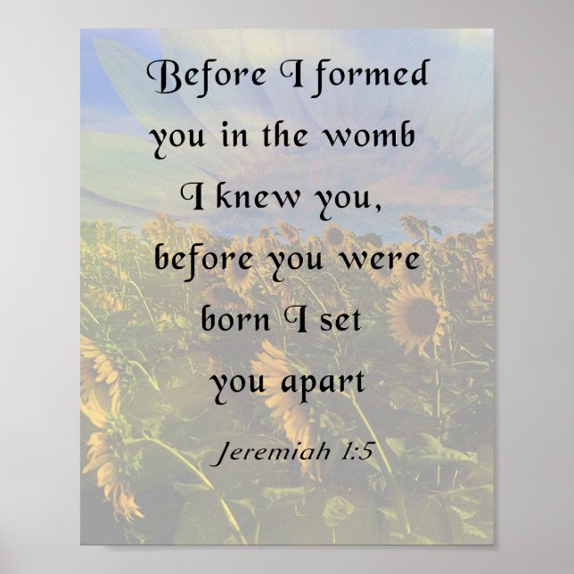 Jeremiah 1:5, Inspirational Bible Verse Poster (Vorne)