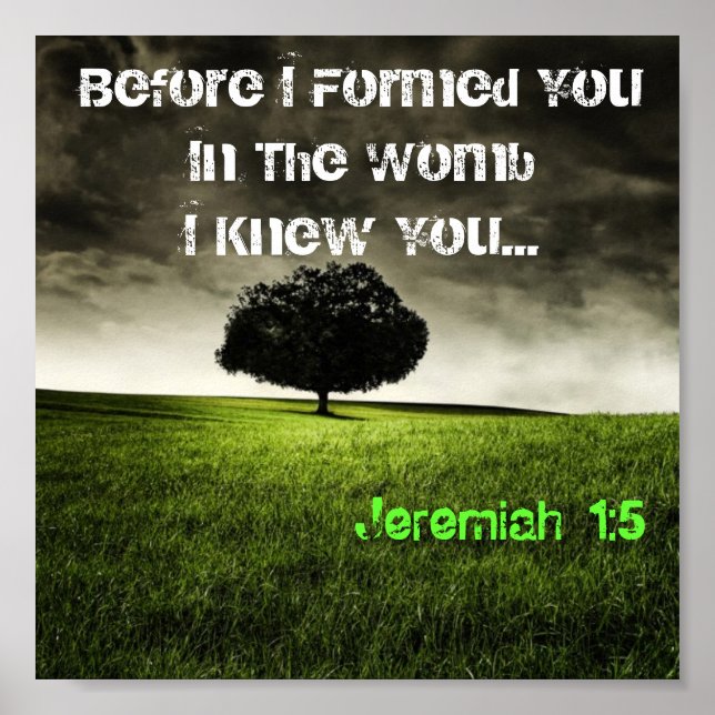 JEREMIAH 1:5 POSTER (Vorne)
