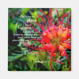 Jeremiah 29:11 a Hoffnung und eine Zukunft Magnet
