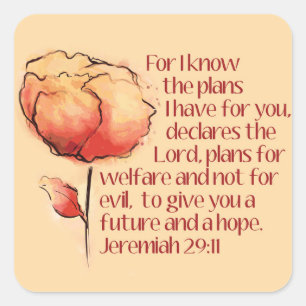 Jeremiah 29:11 Aufkleber — Ich weiß die Pläne.