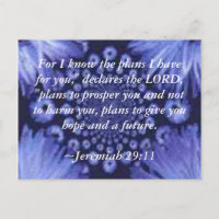 Jeremiah 29:11 Blue Daisy Post Card