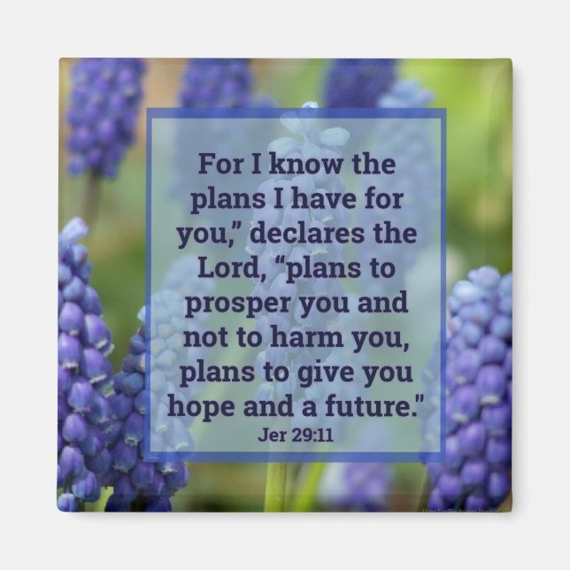 Jeremiah 29:11 Blumenmagnet Magnet (Vorne)