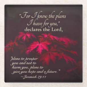 Jeremiah 29:11 Denn ich kenne die Pläne, die ich f Glasuntersetzer
