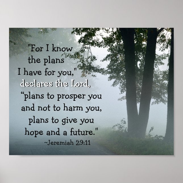 Jeremiah 29:11 Denn ich kenne die Pläne, die ich f Poster (Vorne)