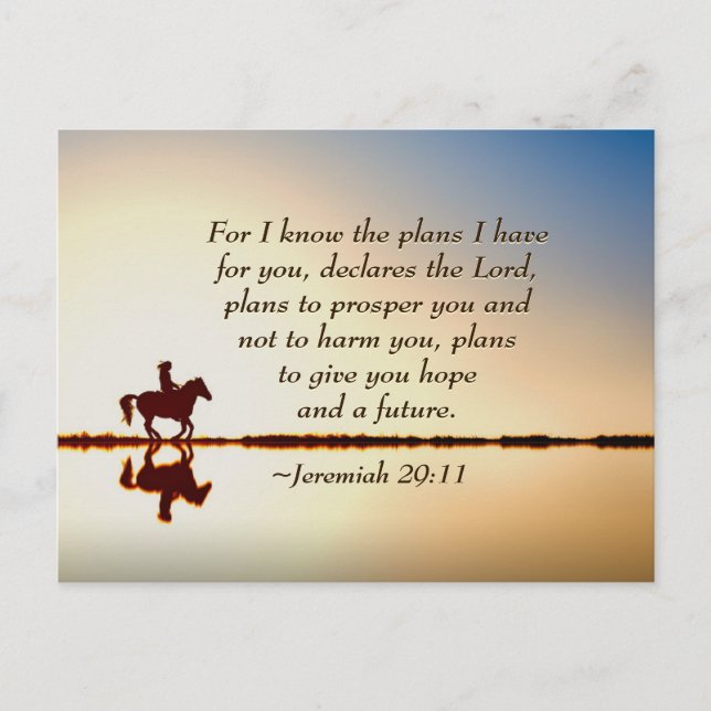 Jeremiah 29:11 Denn ich kenne die Pläne, die ich f Postkarte (Vorderseite)