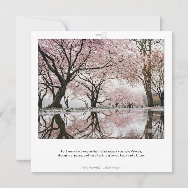 JEREMIAH 29:11 GOTTES VERSPRECHENDE SCRIPIX-Karte Einladung (Vorderseite)