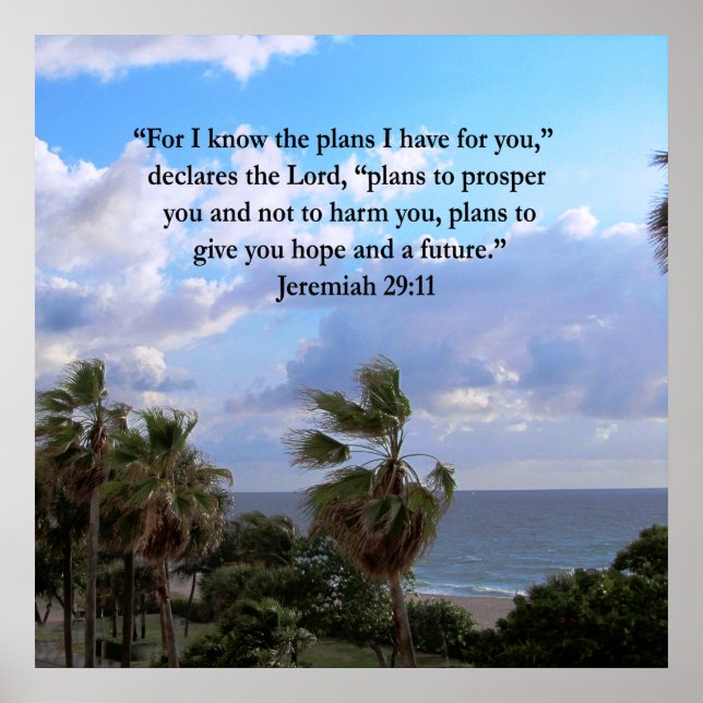 JEREMIAH 29:11 INSPIRATIONALE VERSE POSTER (Vorne)