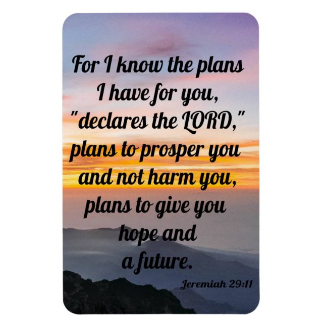 Jeremiah 29:11, Kühlschrank Magnet (Vertikal)