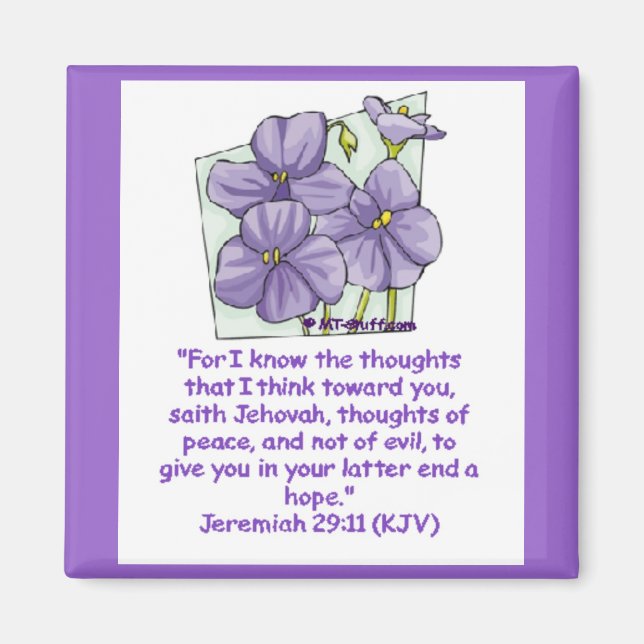 Jeremiah 29:11 magnet (Vorne)