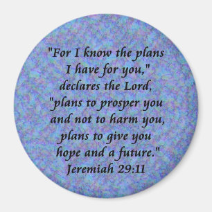 Jeremiah 29-11 magnet