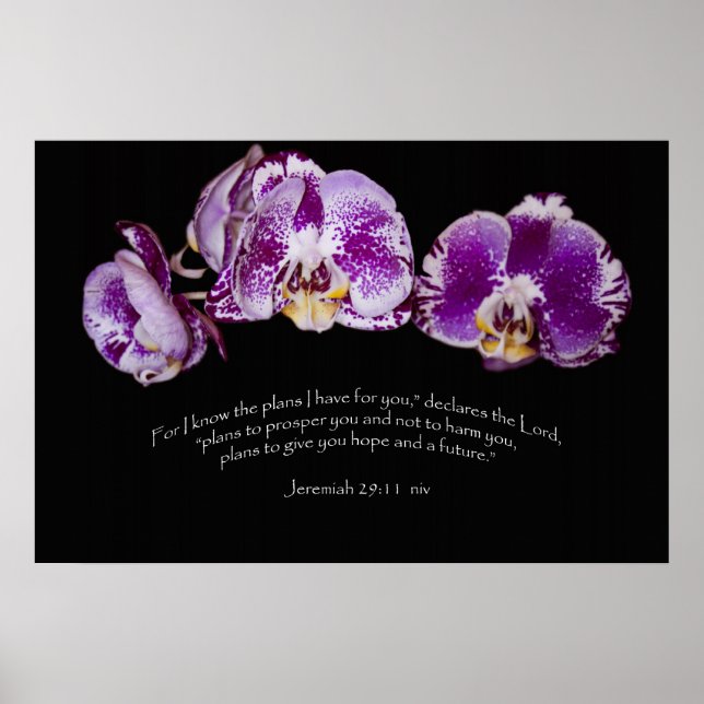 Jeremiah 29:11 poster (Vorne)