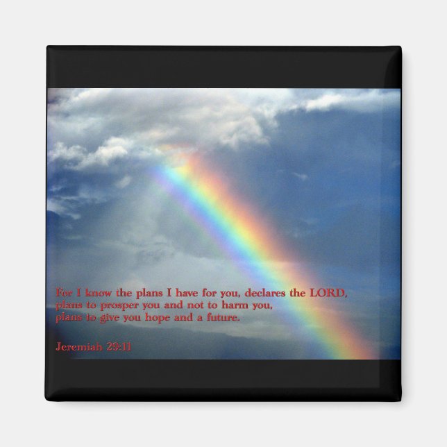Jeremiah 29:11 Regenbogen Magnet (Vorne)
