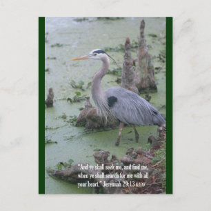 Jeremiah 29:13 Schrift Postcard Postkarte