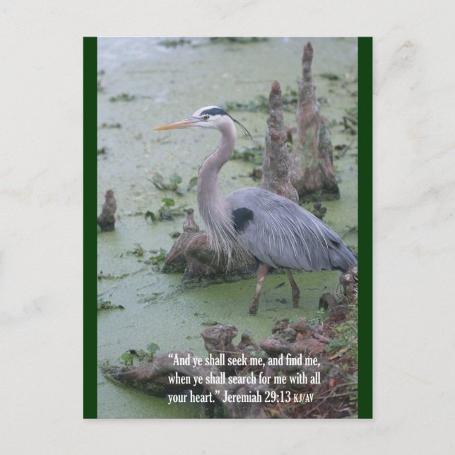 Jeremiah 29:13 Schrift Postcard Postkarte (Vorderseite)