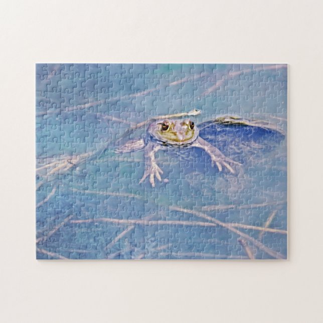 Jeremiah Fun Bullfrog Frozzle Puzzle (Horizontal)