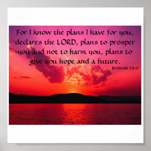 Jeremias-29:11 Poster