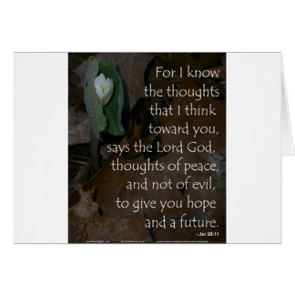 Jeremias-29:11hoffnung während der Zukunft