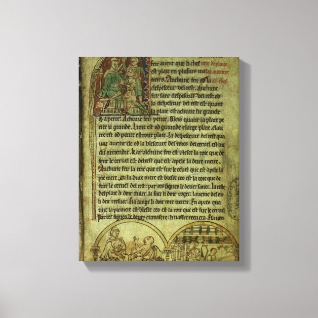 Jerome: Ein Arzt, der einen Patienten besucht Leinwanddruck (Vorderseite)