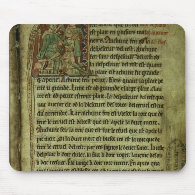 Jerome: Ein Doktor, der einen Patienten besucht Mousepad (Vorne)