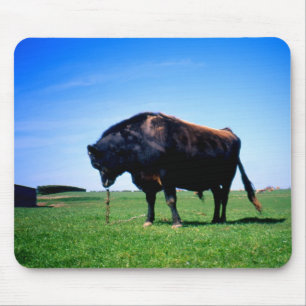 Jersey Bull in Jersey, Kanalinseln. Mousepad