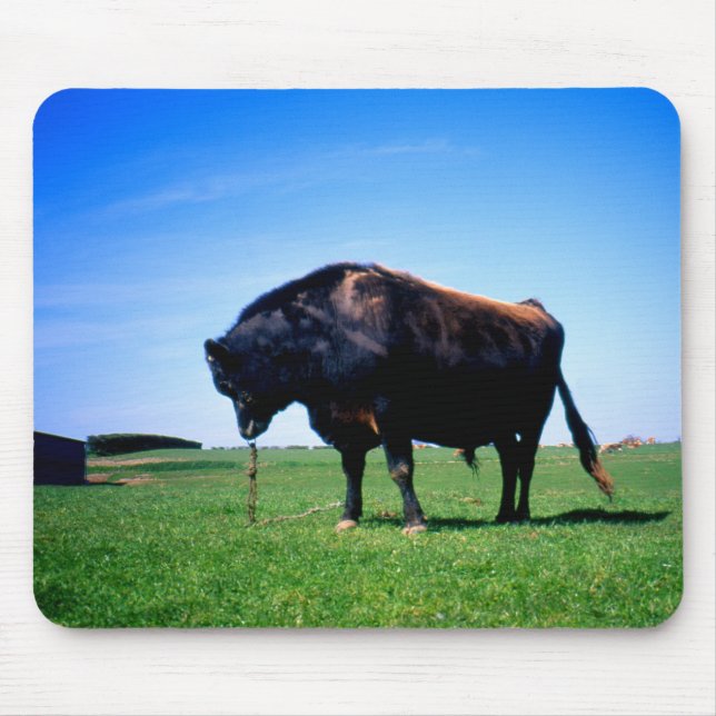 Jersey Bull in Jersey, Kanalinseln. Mousepad (Vorne)