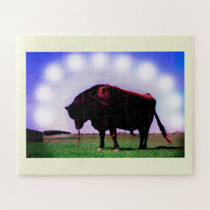Jersey bull puzzle