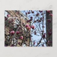 Jersey City Blume