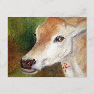 Jersey Cow aceo Postcard Postkarte