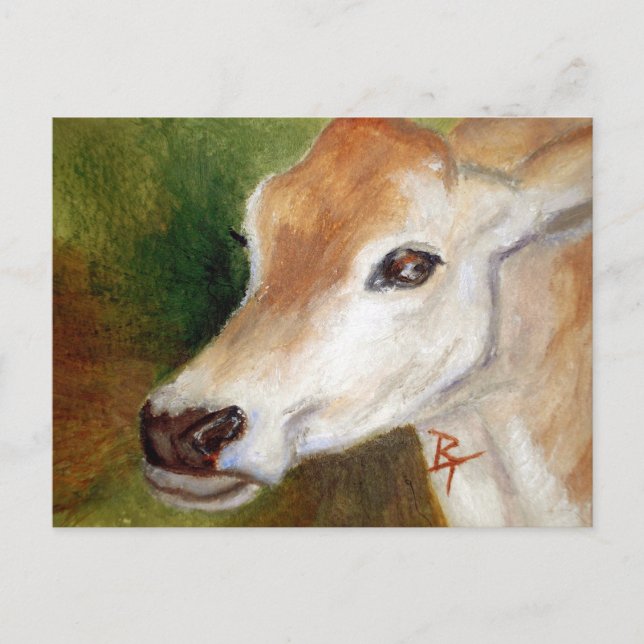 Jersey Cow aceo Postcard Postkarte (Vorderseite)
