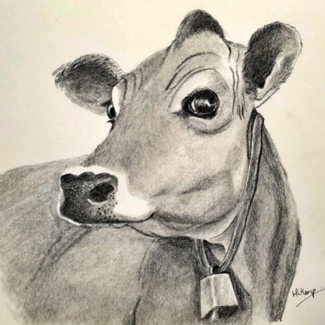 Jersey Cow Sketch Poster (Von Creator hochgeladen)