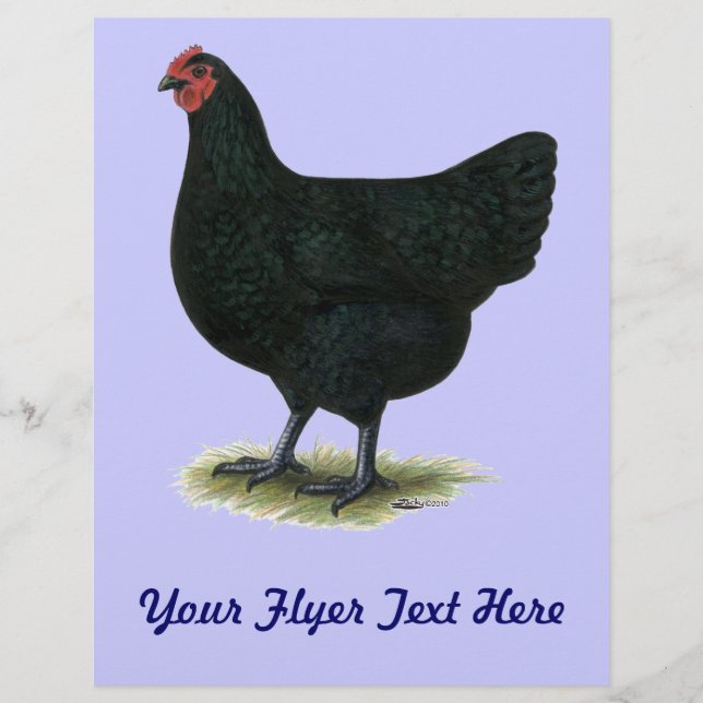 Jersey Giant: Black Hen Flyer (Vorne)