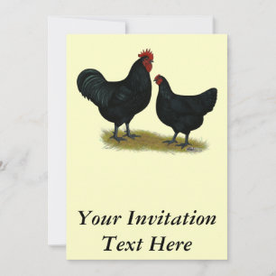 Jersey Giant Chickens Einladung