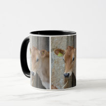 Jersey-Kuh/Kalb-Tasse