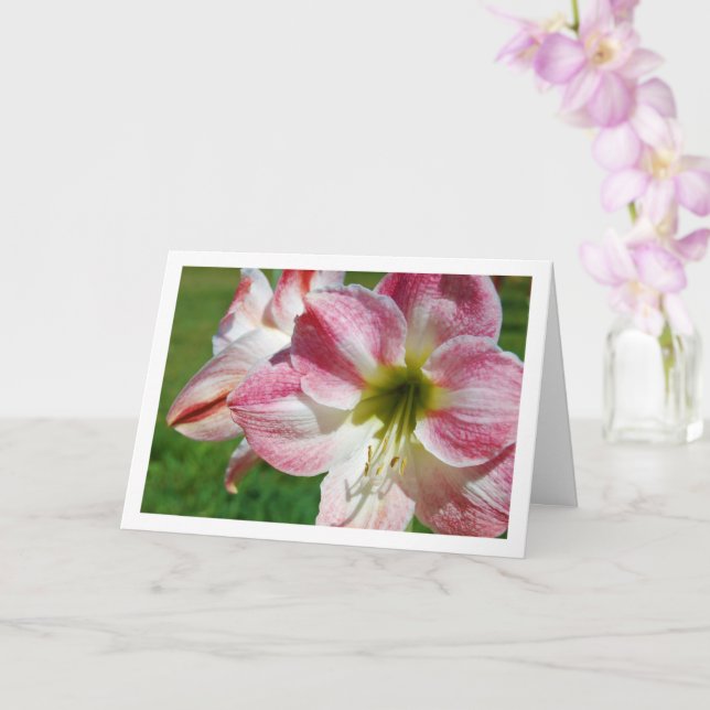 Jersey lily Portrait Karte (Orchidee)