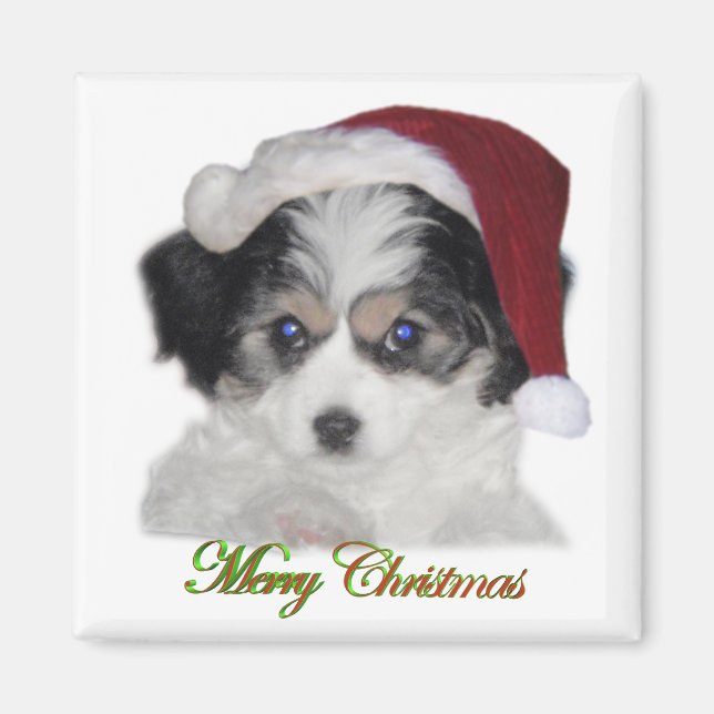 Jersey Santa Christmas Magnet (Vorne)
