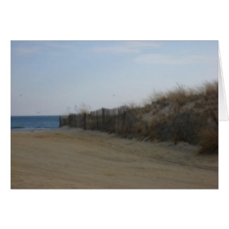 Jersey Shore * Weicher Strand