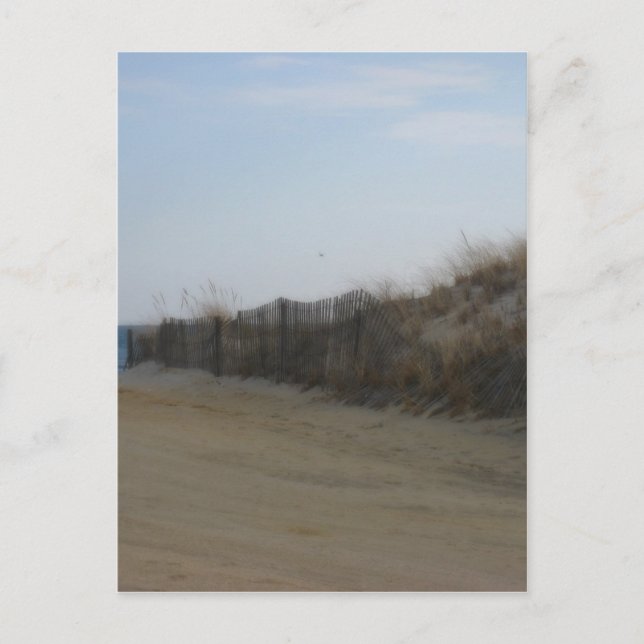 Jersey Shore * Weicher Strand Postkarte (Vorderseite)