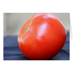 Jersey Tomato 1
