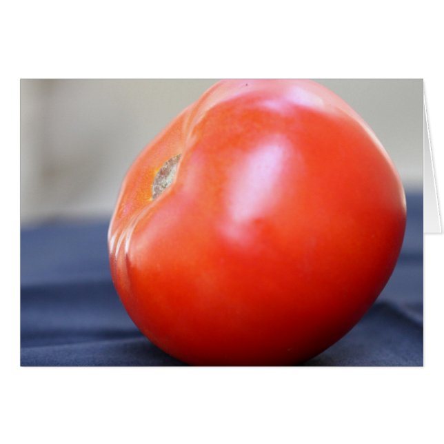 Jersey Tomato 1 (Vorderseite (Horizontal))
