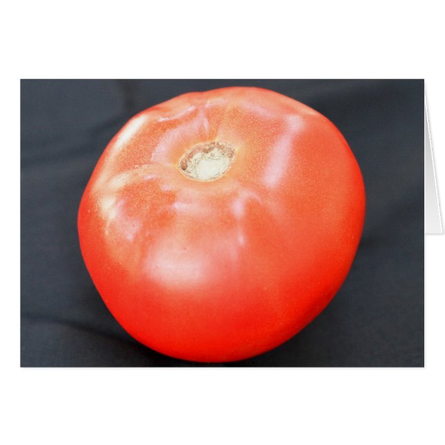 Jersey Tomato 3 (Vorderseite (Horizontal))
