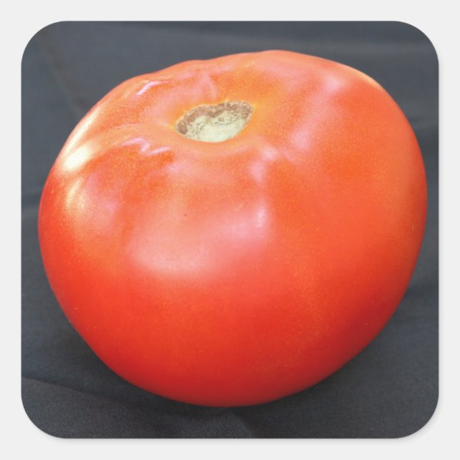 Jersey Tomato 4 Quadratischer Aufkleber (Vorderseite)