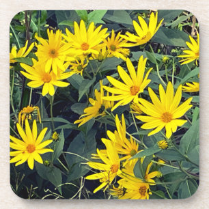 Jerusalem Artichoke Blume Getränkeuntersetzer