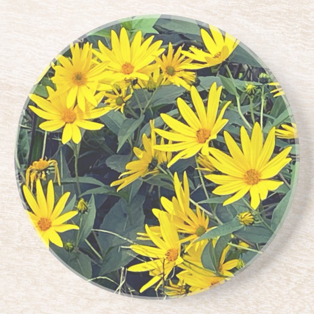 Jerusalem Artichoke Blume Sandstone Untersetzer (Vorne)