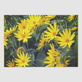 Jerusalem Artichoke Blume Seidenpapier