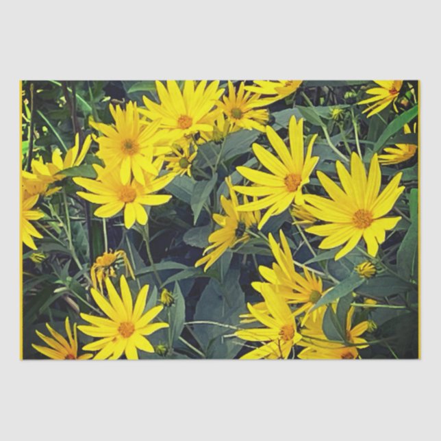 Jerusalem Artichoke Blume Seidenpapier (Vorderseite)